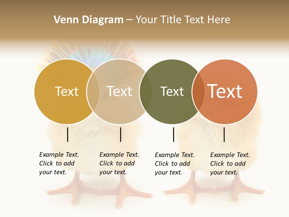 Concept Crazy Chicken Friendship PowerPoint Template