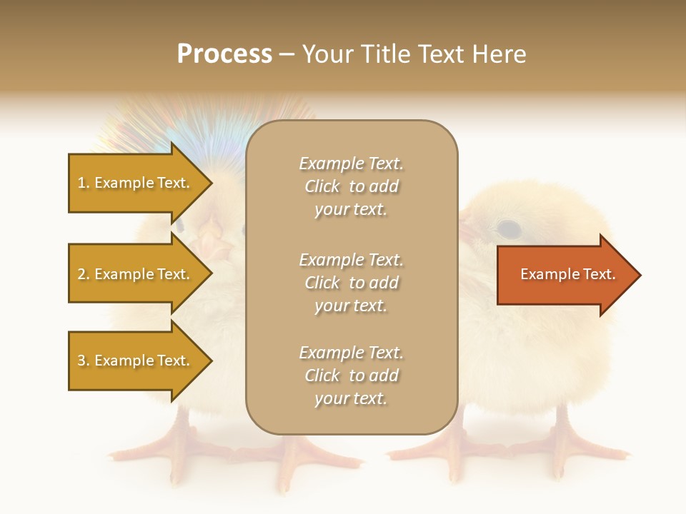 Concept Crazy Chicken Friendship PowerPoint Template