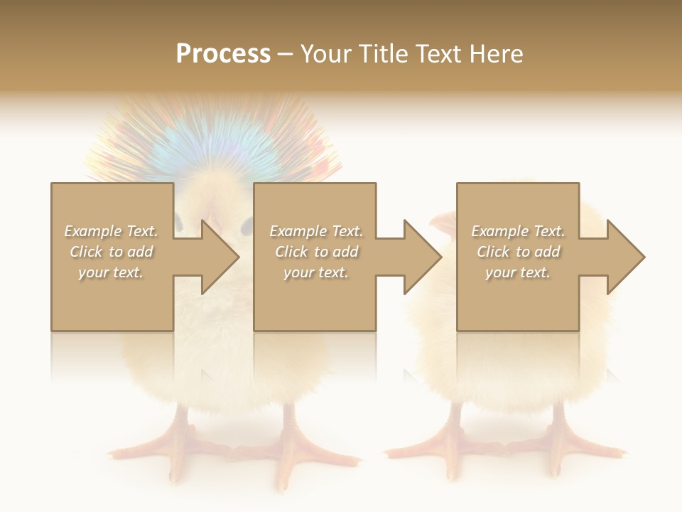 Concept Crazy Chicken Friendship PowerPoint Template