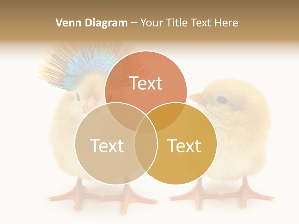 Concept Crazy Chicken Friendship PowerPoint Template