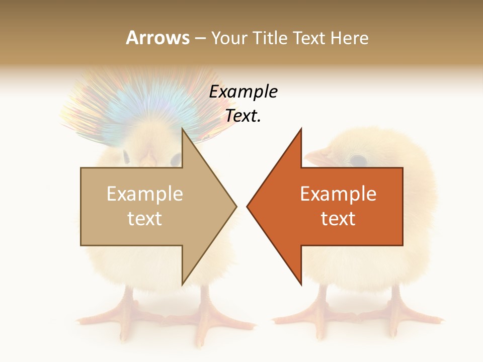 Concept Crazy Chicken Friendship PowerPoint Template