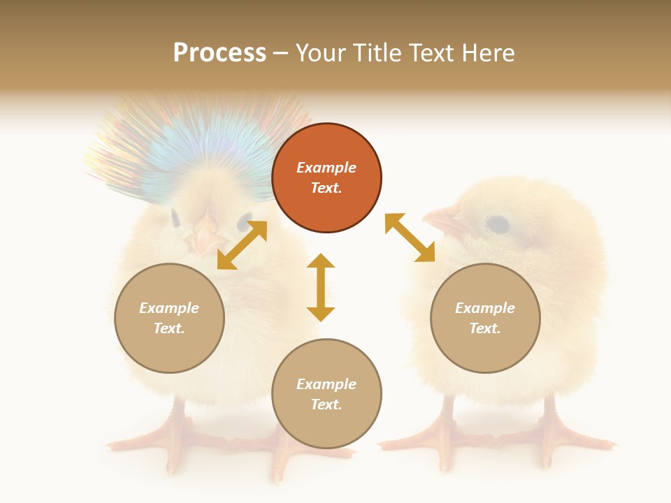 Concept Crazy Chicken Friendship PowerPoint Template