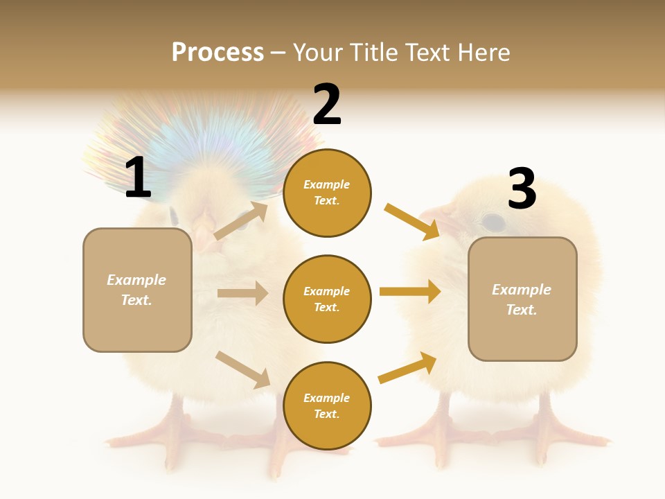 Concept Crazy Chicken Friendship PowerPoint Template