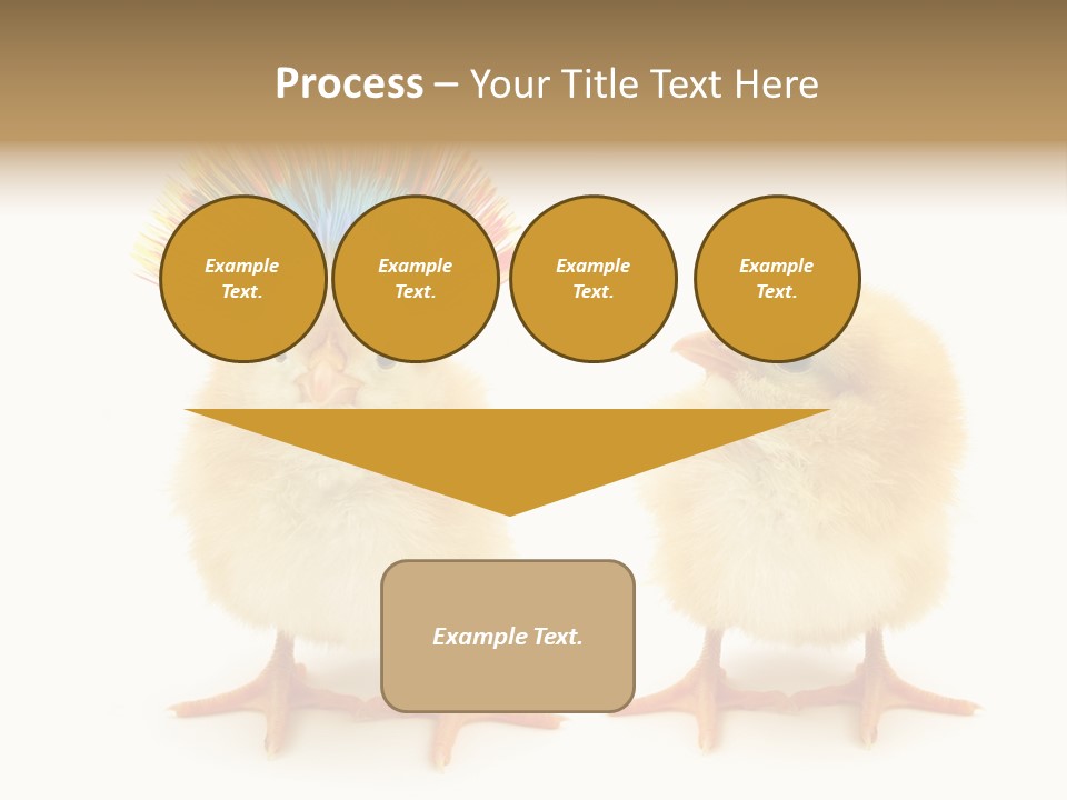 Concept Crazy Chicken Friendship PowerPoint Template