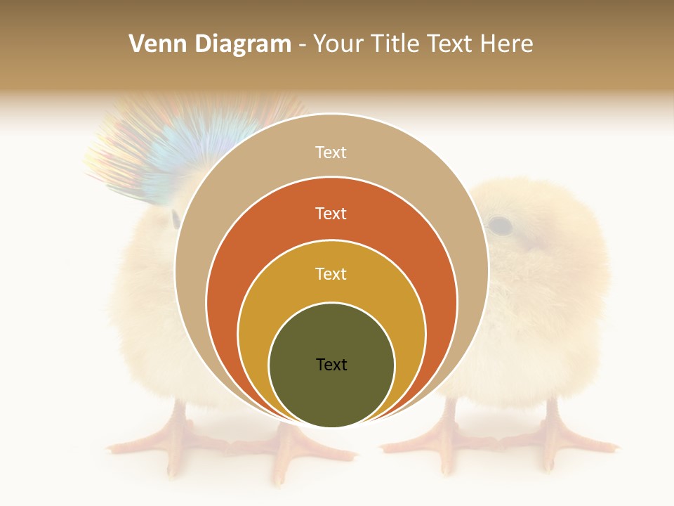 Concept Crazy Chicken Friendship PowerPoint Template