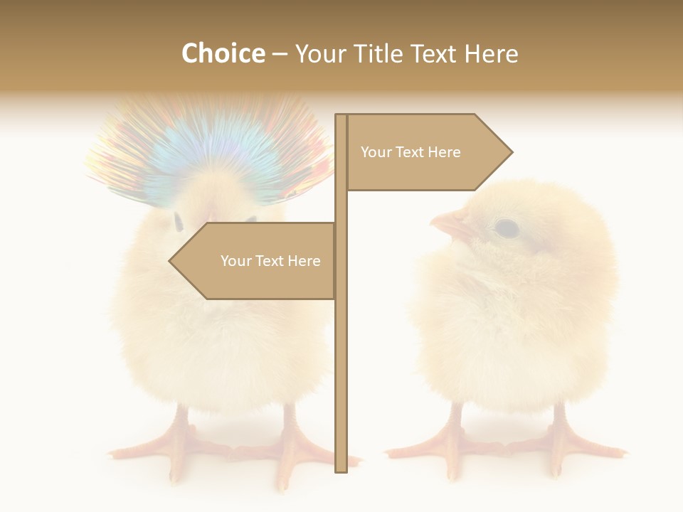 Concept Crazy Chicken Friendship PowerPoint Template