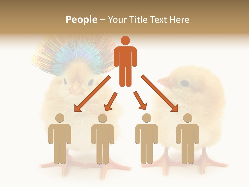 Concept Crazy Chicken Friendship PowerPoint Template