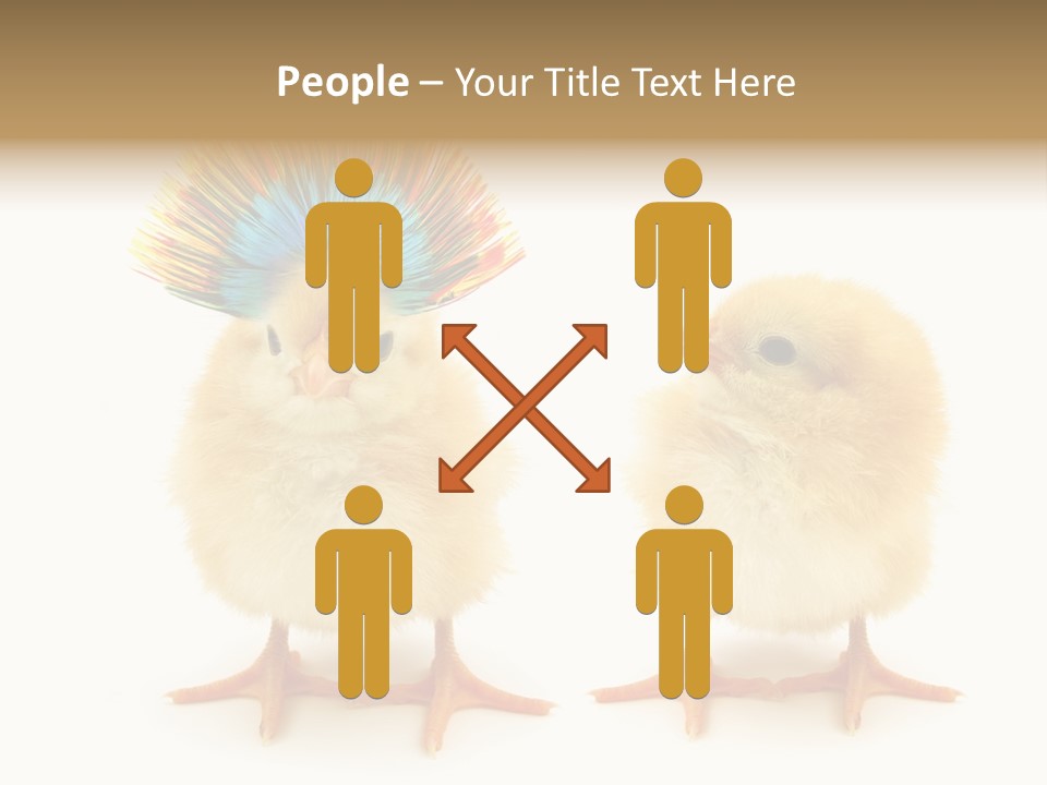 Concept Crazy Chicken Friendship PowerPoint Template