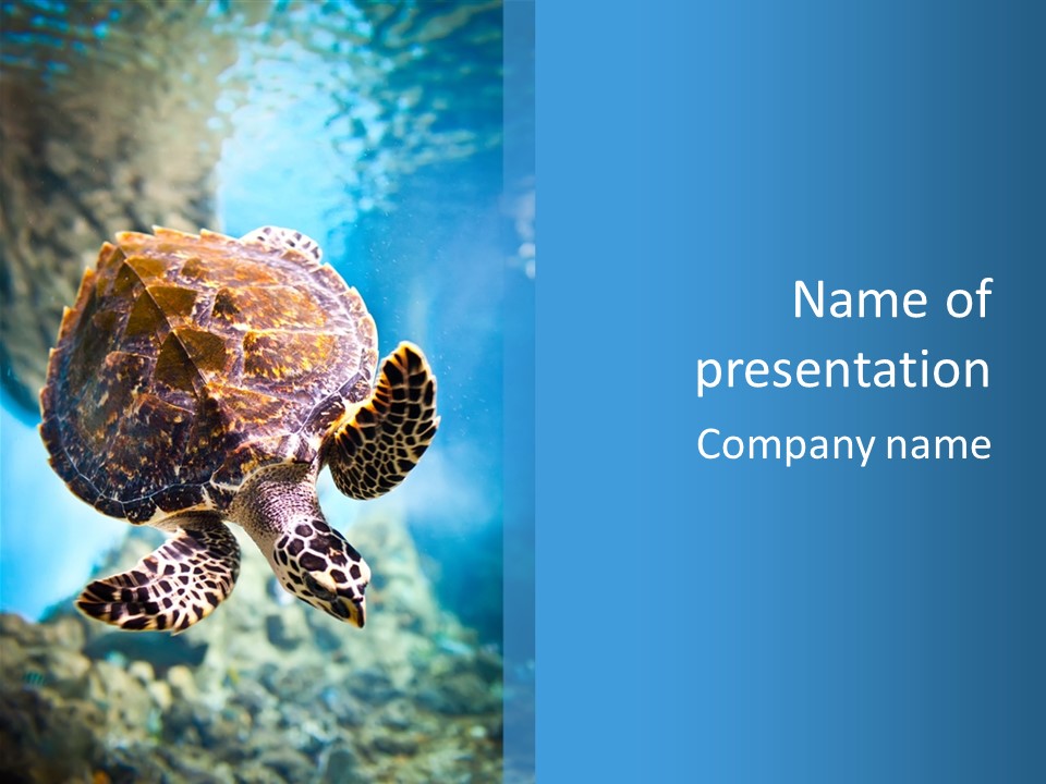 Blue Environment Ecosystem PowerPoint Template