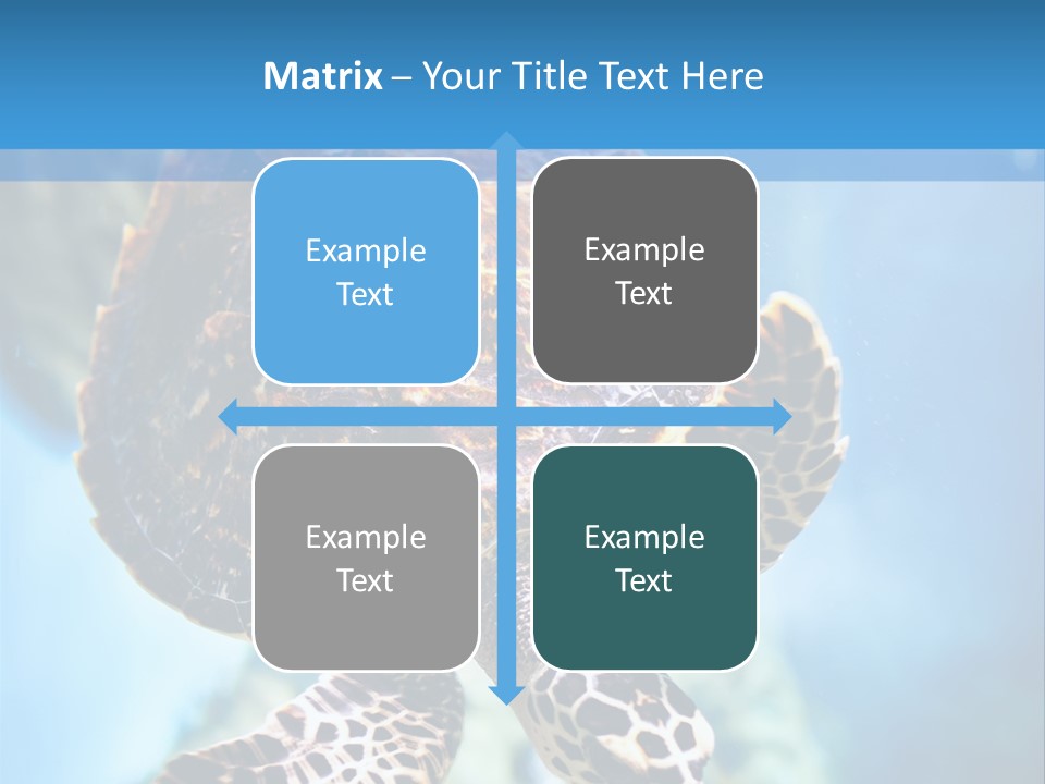 Blue Environment Ecosystem PowerPoint Template
