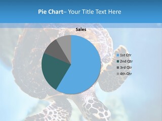 Blue Environment Ecosystem PowerPoint Template