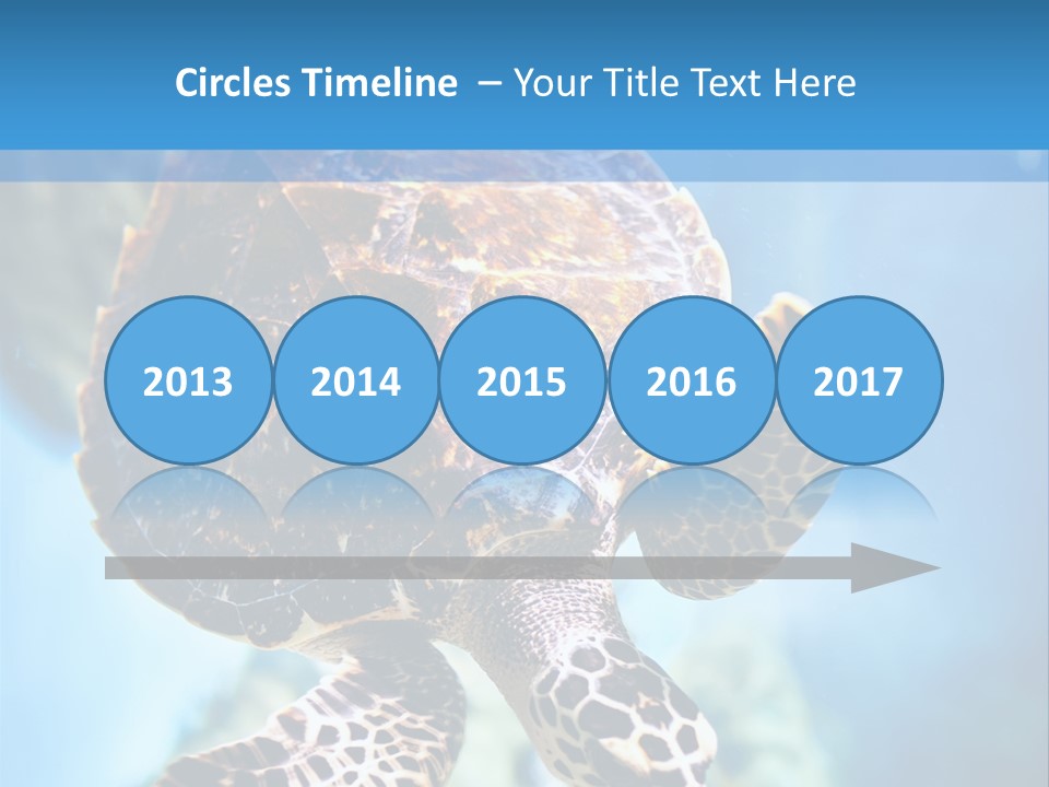 Blue Environment Ecosystem PowerPoint Template