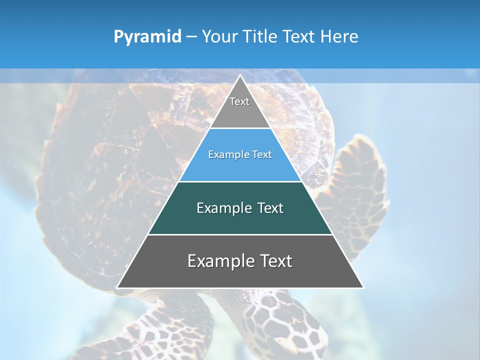 Blue Environment Ecosystem PowerPoint Template