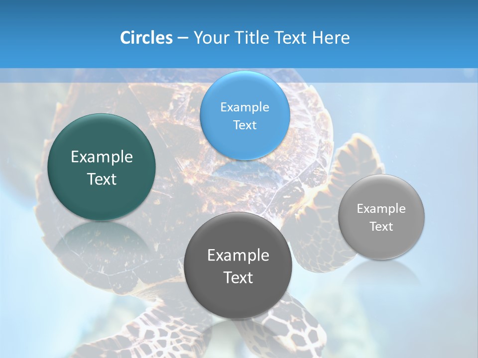 Blue Environment Ecosystem PowerPoint Template