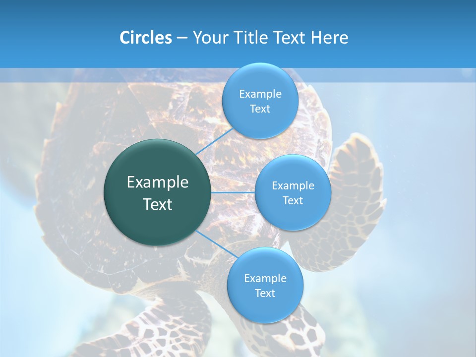 Blue Environment Ecosystem PowerPoint Template