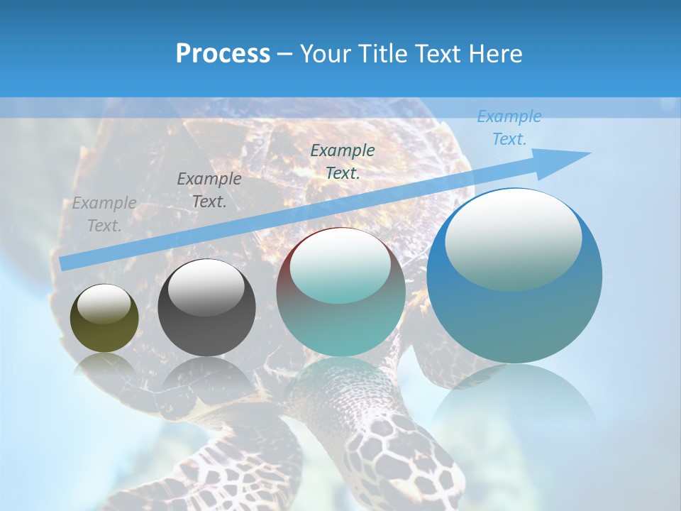 Blue Environment Ecosystem PowerPoint Template