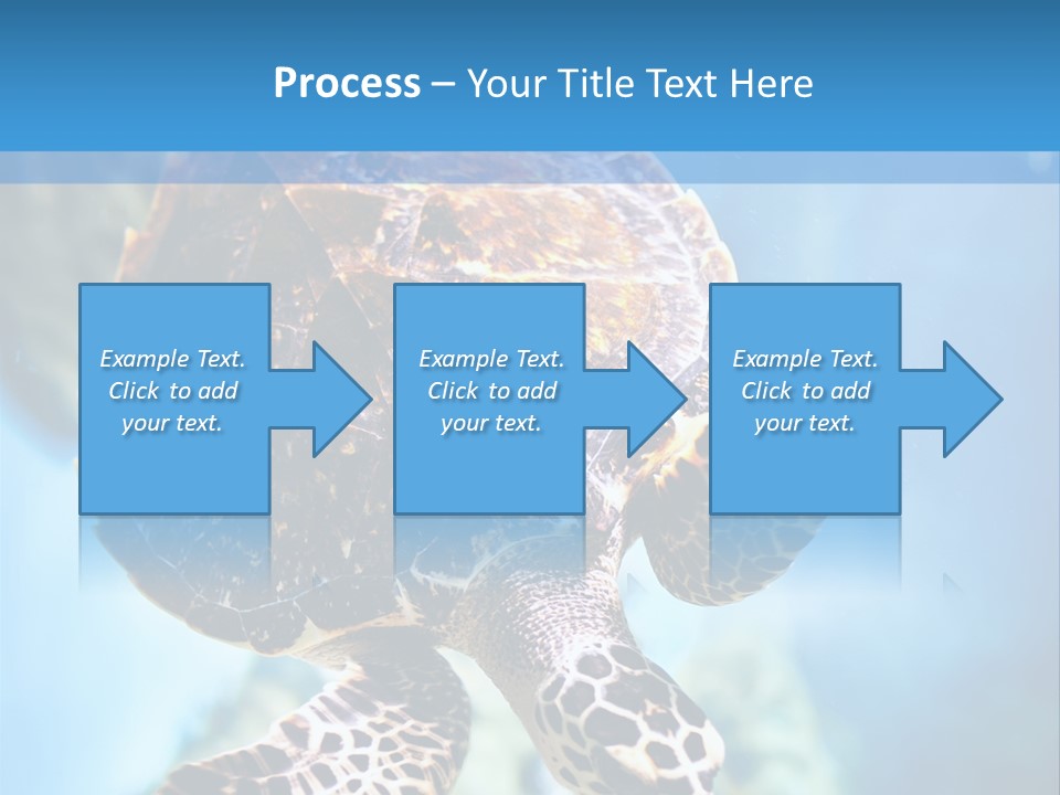 Blue Environment Ecosystem PowerPoint Template