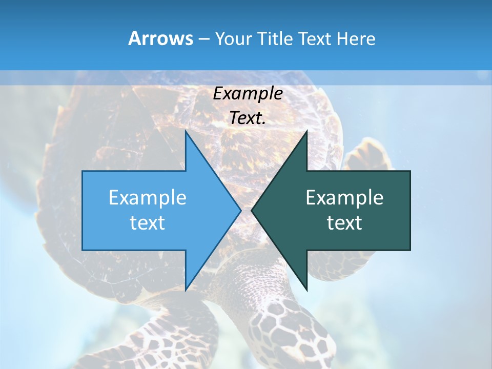Blue Environment Ecosystem PowerPoint Template