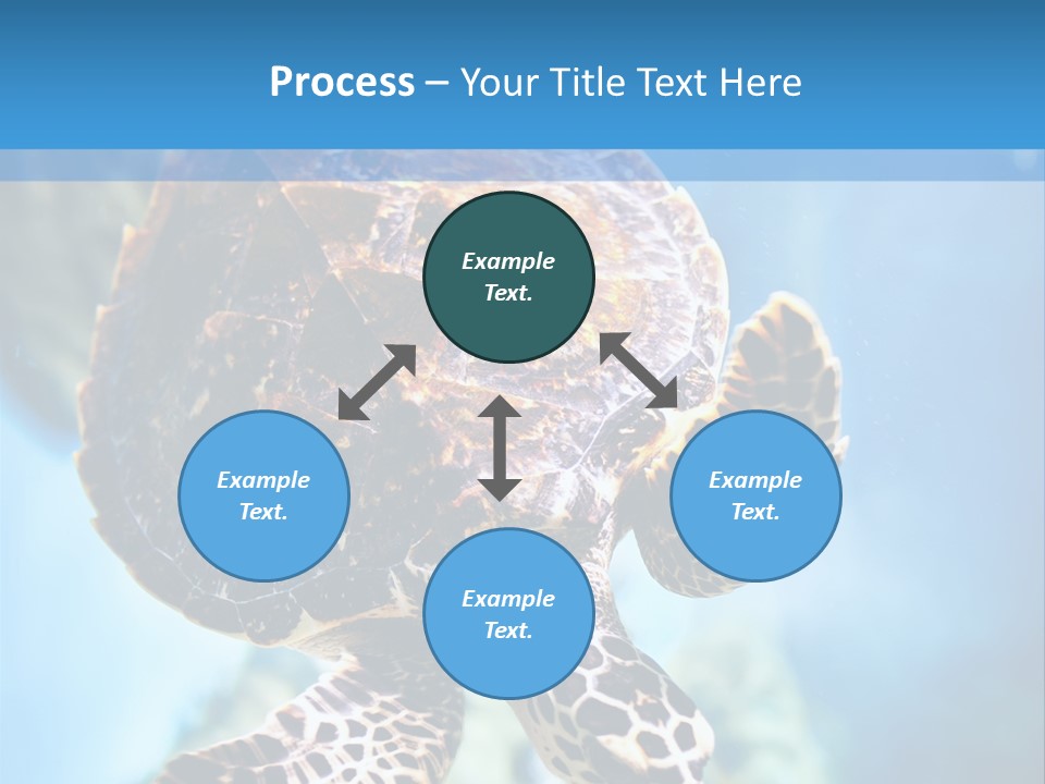 Blue Environment Ecosystem PowerPoint Template
