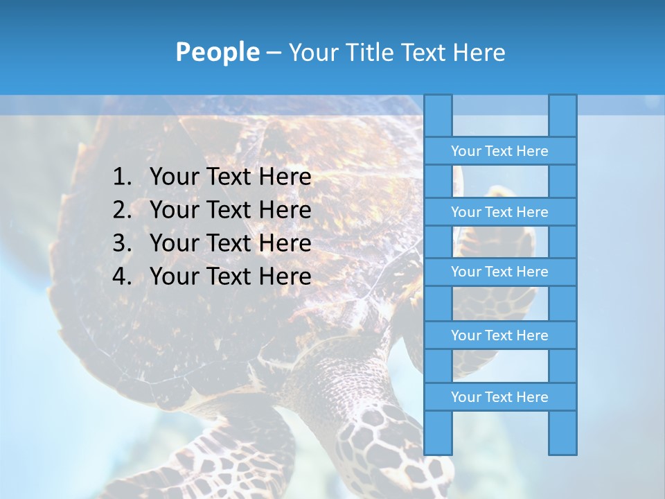 Blue Environment Ecosystem PowerPoint Template