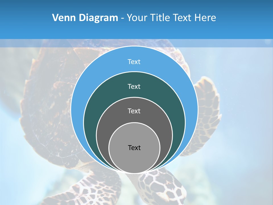 Blue Environment Ecosystem PowerPoint Template