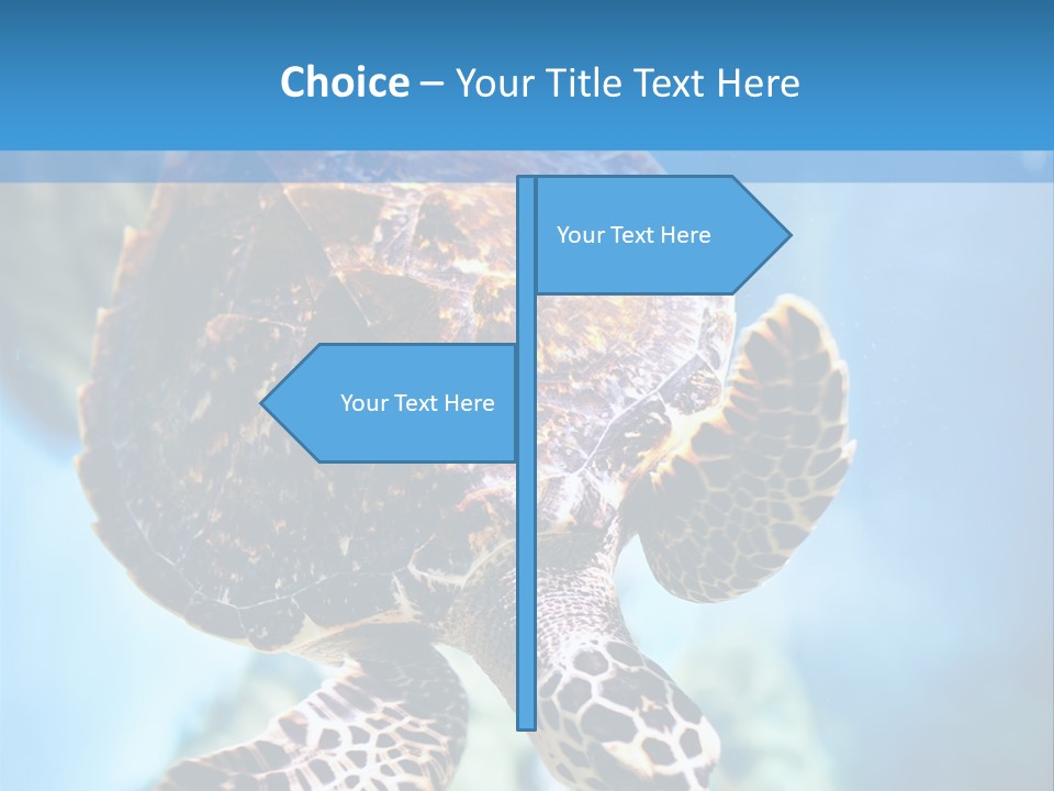 Blue Environment Ecosystem PowerPoint Template