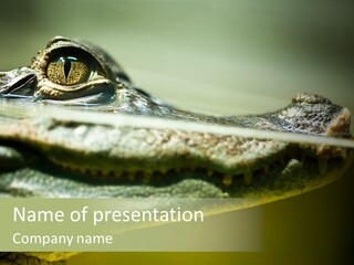 Natural Fear Animal PowerPoint Template