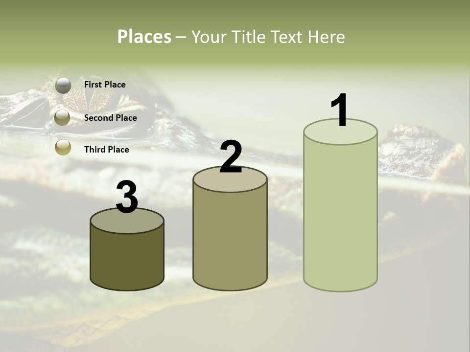 Natural Fear Animal PowerPoint Template