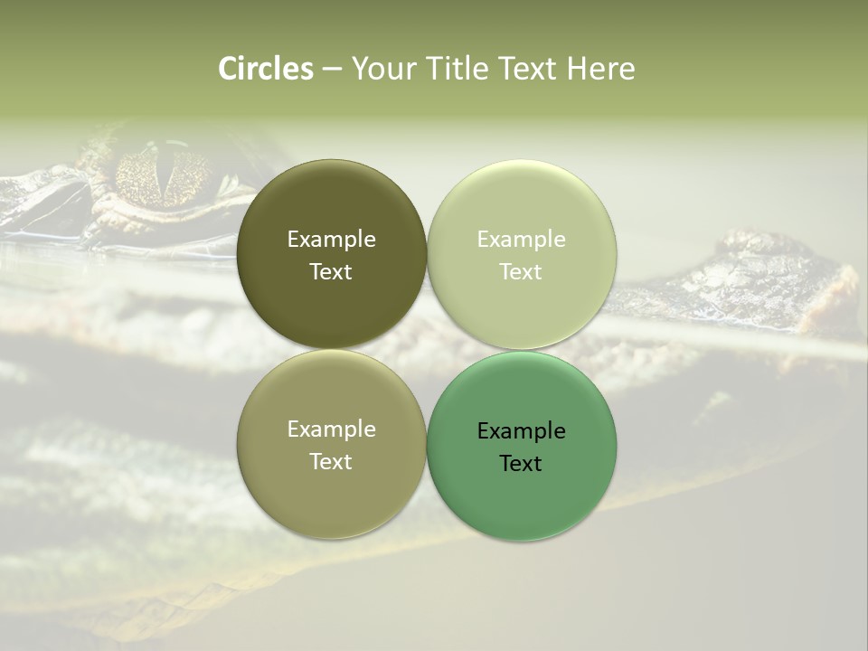 Natural Fear Animal PowerPoint Template