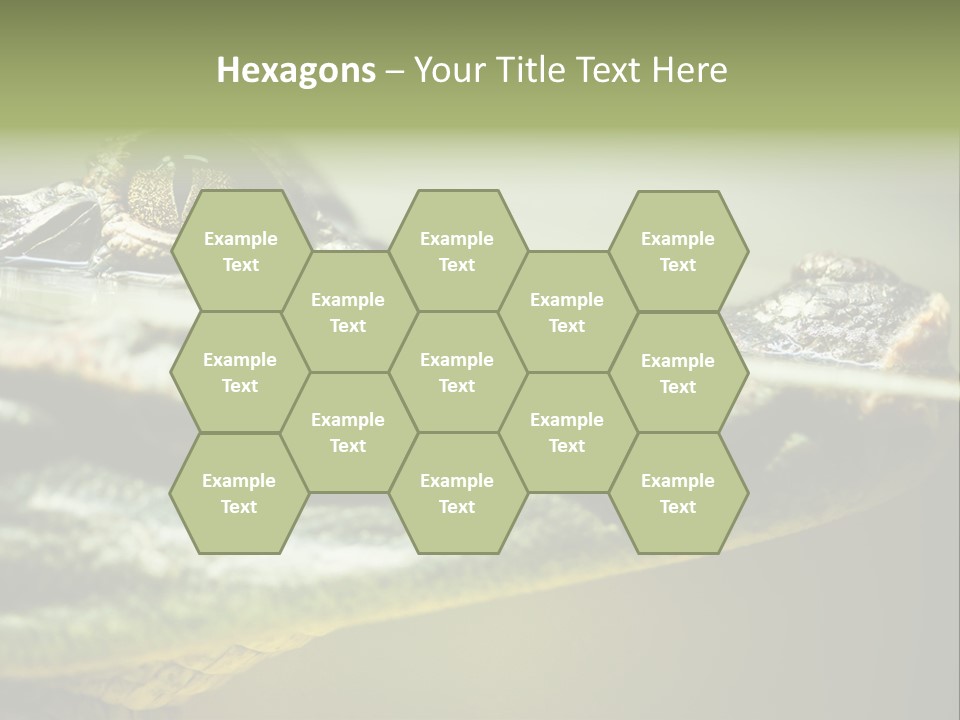 Natural Fear Animal PowerPoint Template