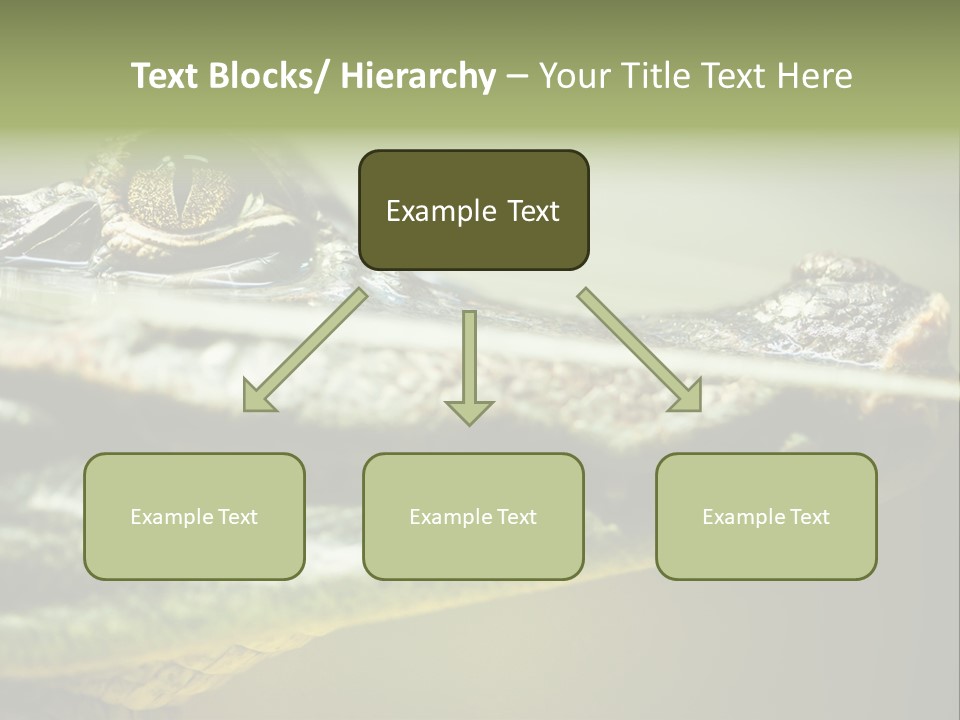 Natural Fear Animal PowerPoint Template