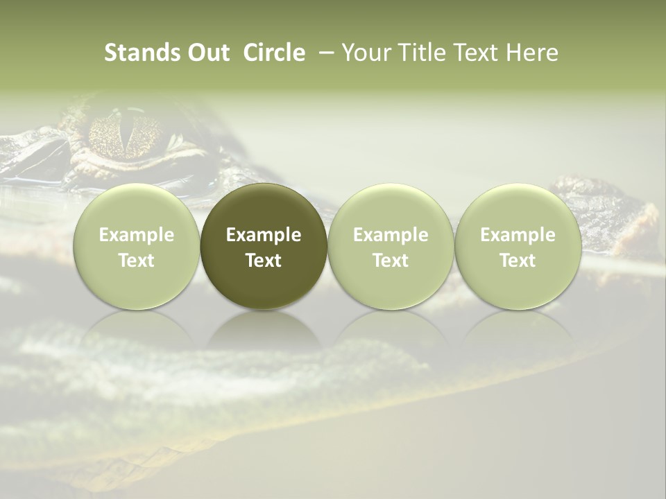Natural Fear Animal PowerPoint Template