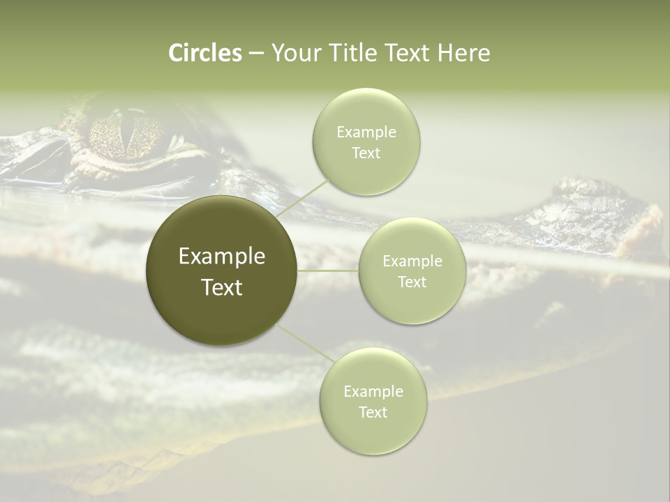 Natural Fear Animal PowerPoint Template