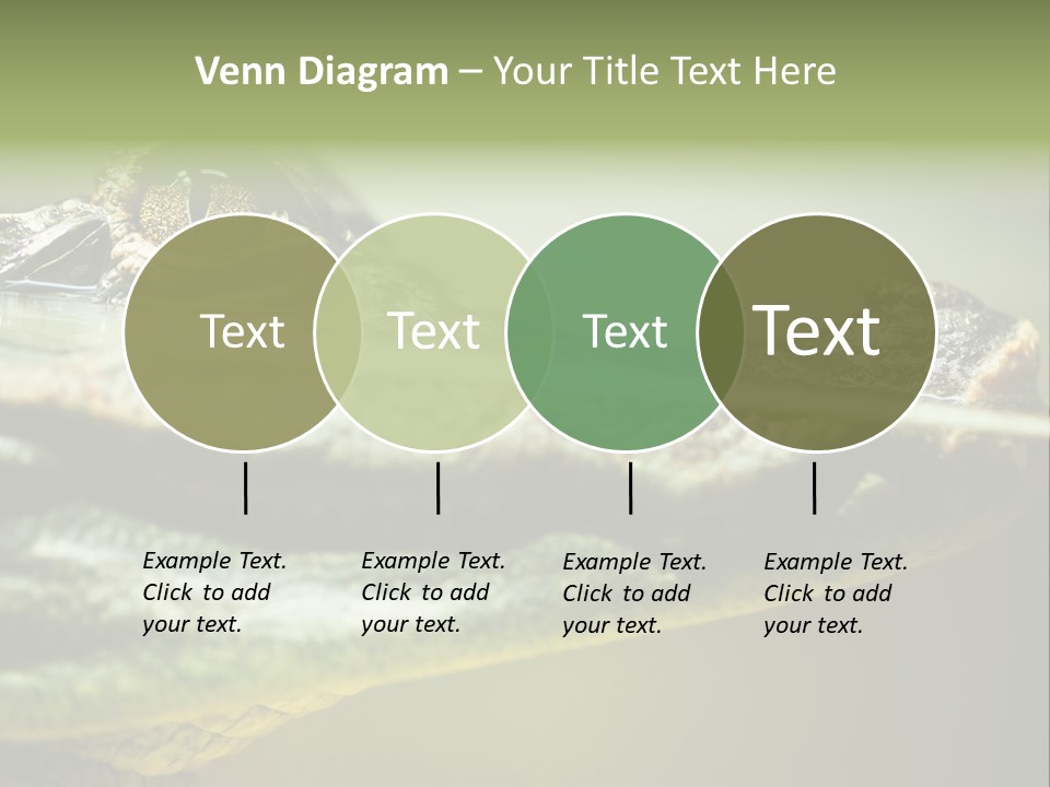 Natural Fear Animal PowerPoint Template