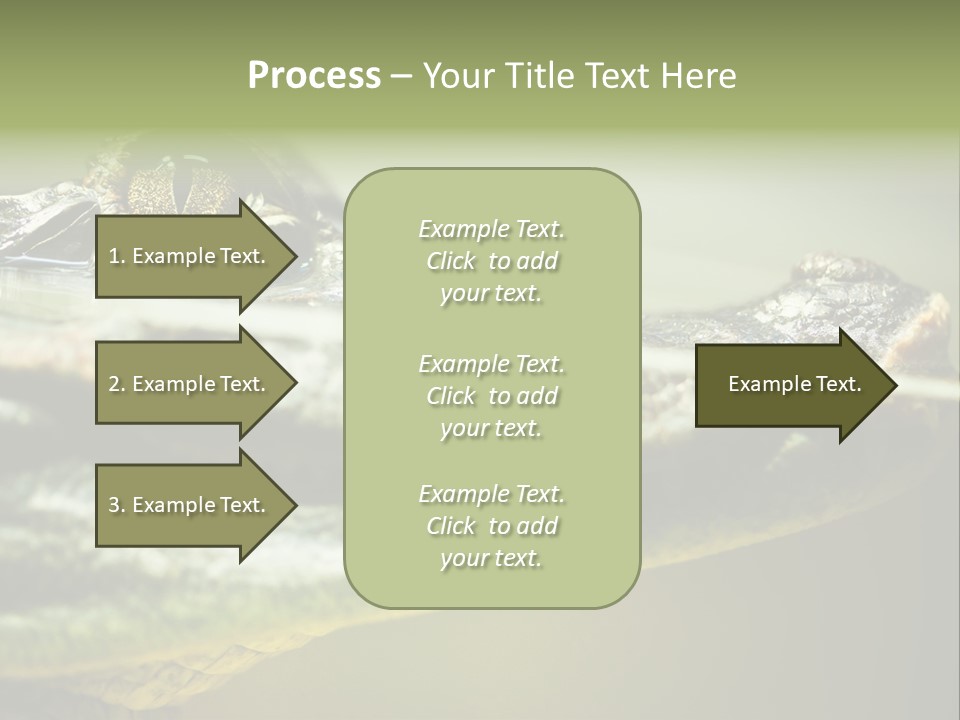 Natural Fear Animal PowerPoint Template