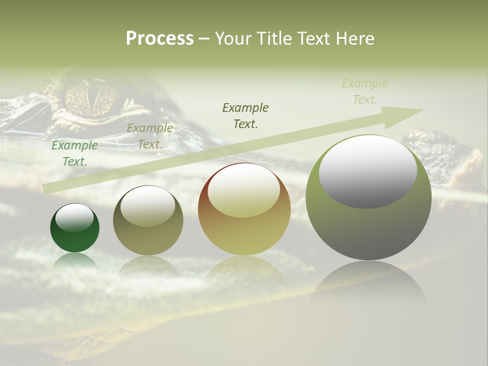 Natural Fear Animal PowerPoint Template