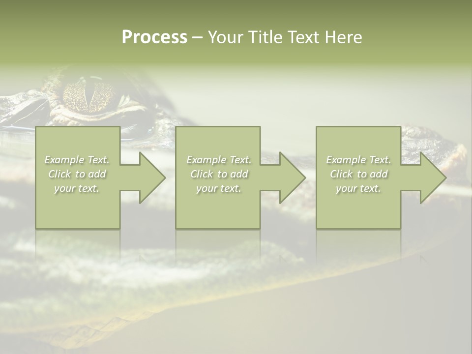 Natural Fear Animal PowerPoint Template