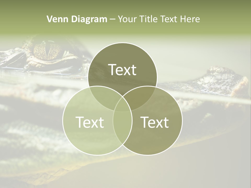 Natural Fear Animal PowerPoint Template