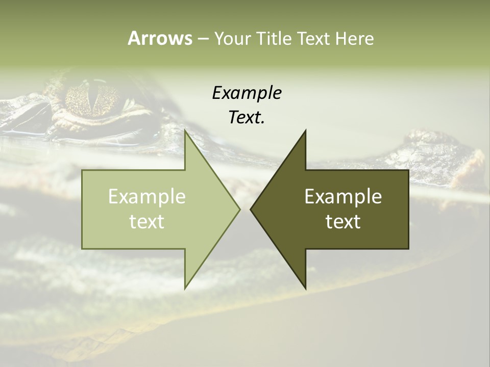 Natural Fear Animal PowerPoint Template