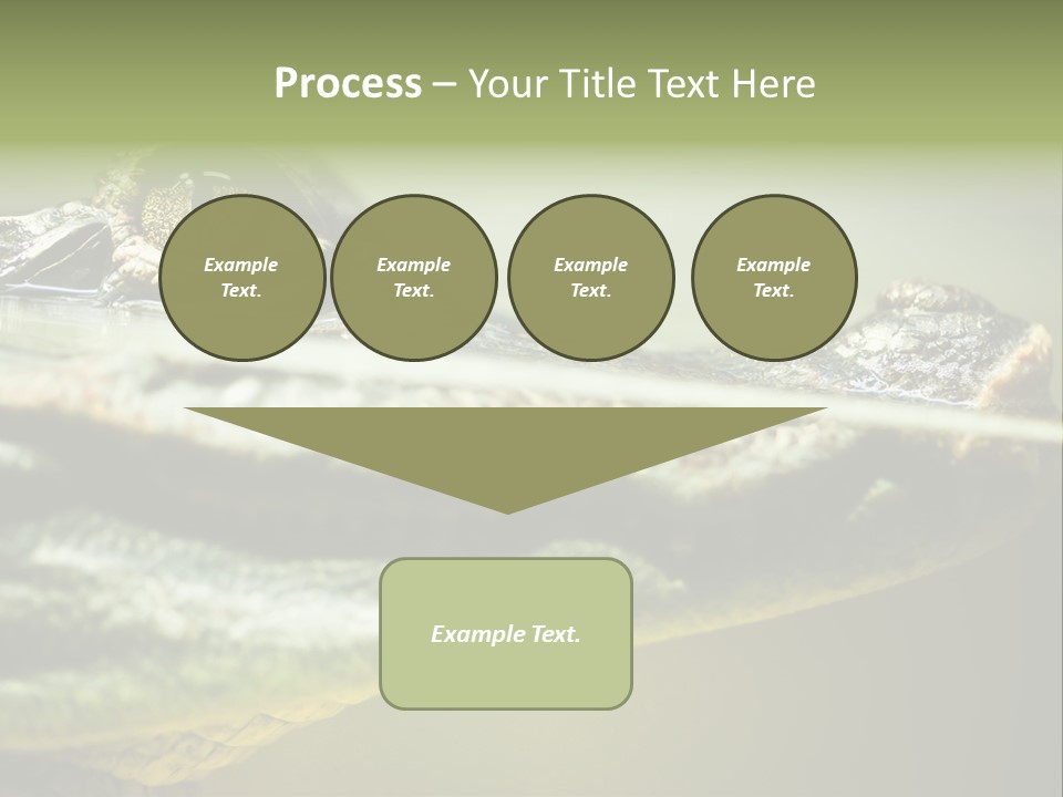 Natural Fear Animal PowerPoint Template