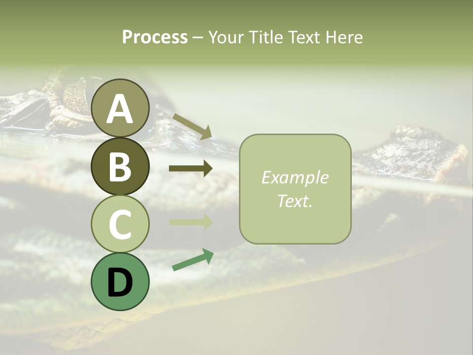 Natural Fear Animal PowerPoint Template