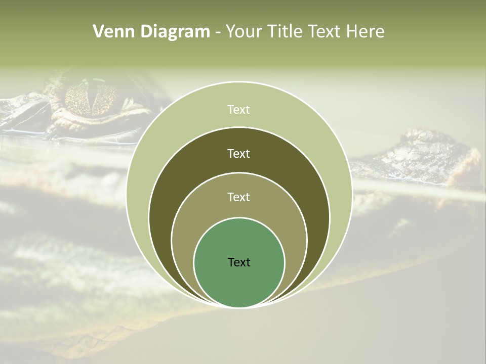 Natural Fear Animal PowerPoint Template