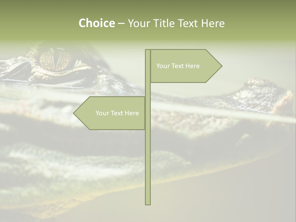 Natural Fear Animal PowerPoint Template