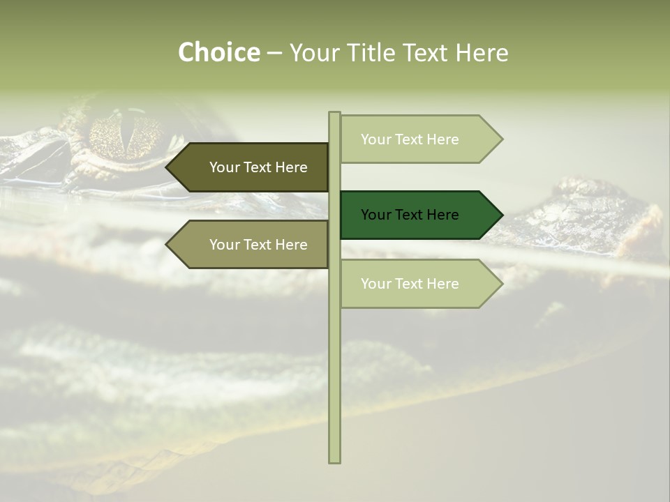 Natural Fear Animal PowerPoint Template