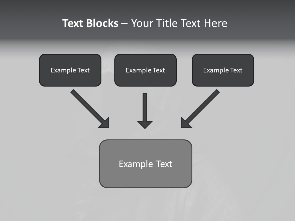 Spook Night Black PowerPoint Template