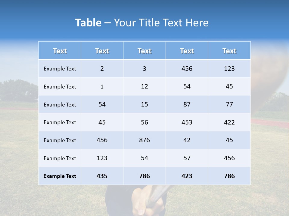 Life Ball Leisure PowerPoint Template