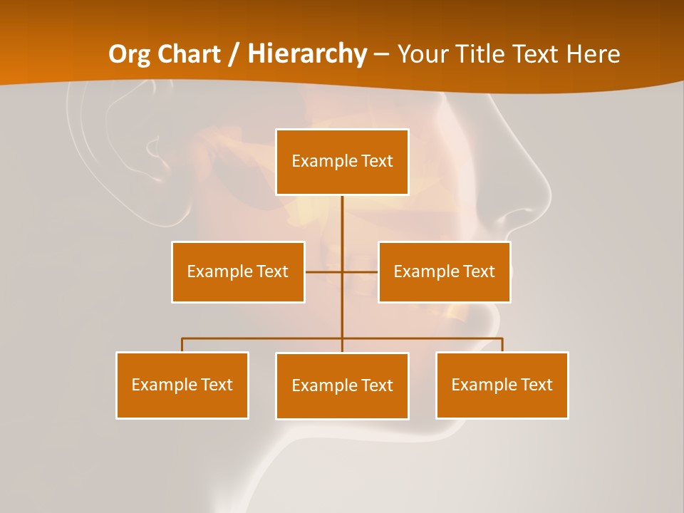 Dental Body Operation PowerPoint Template