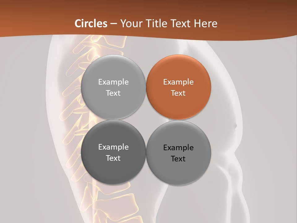 Hand Backbone Neck PowerPoint Template