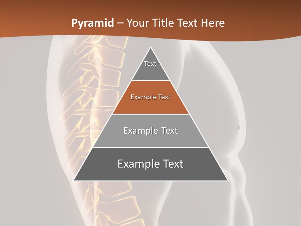 Hand Backbone Neck PowerPoint Template