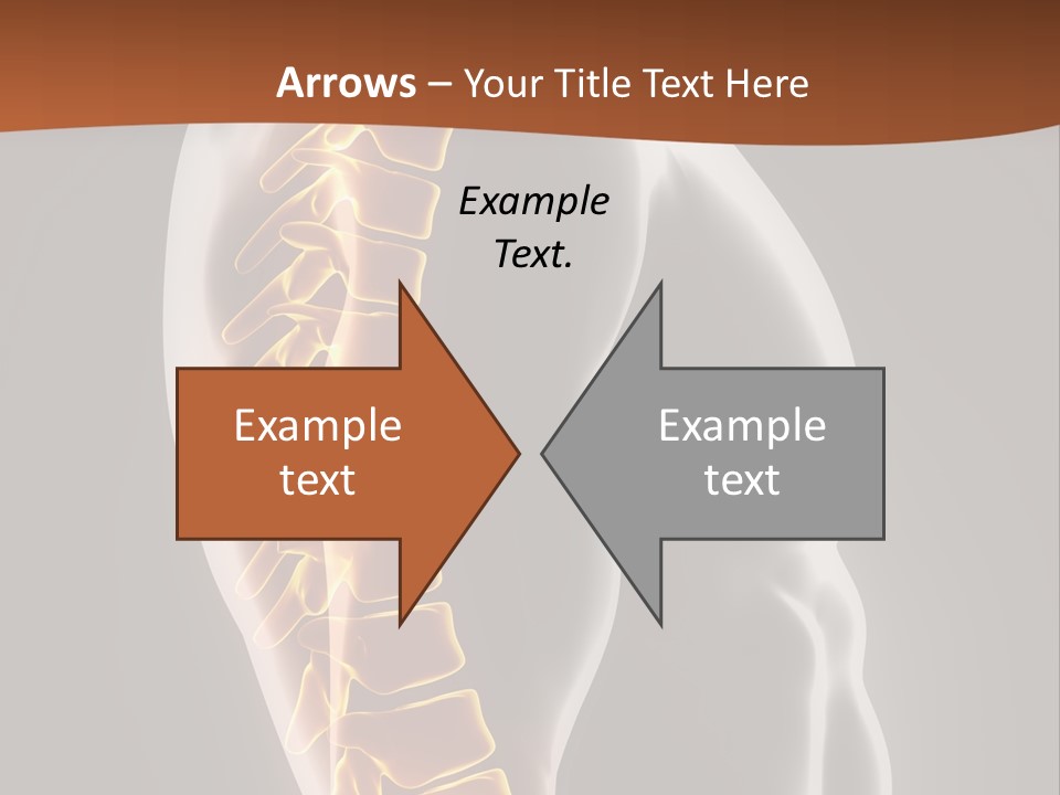 Hand Backbone Neck PowerPoint Template